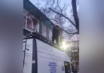 Вечером 15 марта сотрудники Управления по делам ГО и ЧС Великого Новгорода выехали к детскому саду № 74 «Маячок» для борьбы с опасным деревом, которое грозило упасть прямо у центрального входа в здание, оборвав при этом провод