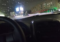 Двое мигрантов надругались над 17-летней жительницей Петербурга