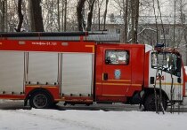 Стали известны подробности пожара на Невском проспекте в Северной столице