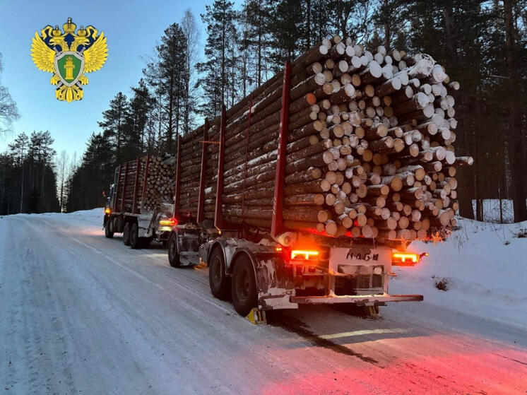 На трассе «Суоярви-Койриноя» произошло смертельное ДТП с участием квадроцикла и лесовоза