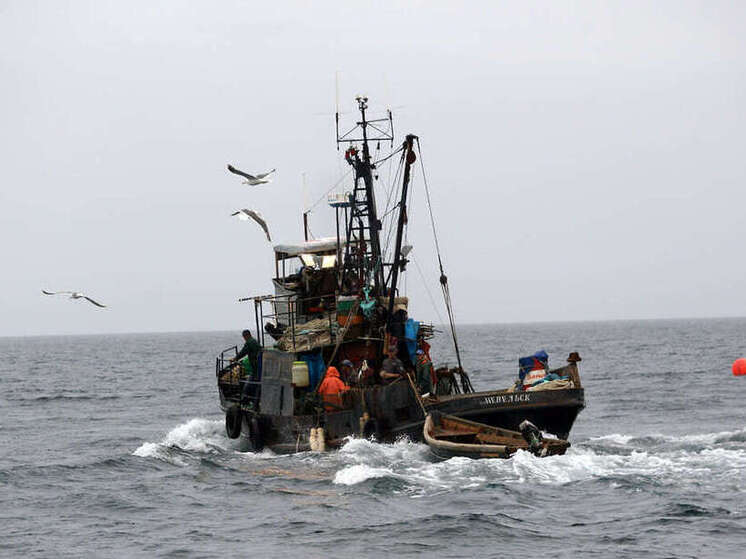 Улов биоресурсов в Азовском море за три года возрос на 2,7 тысяч тонн