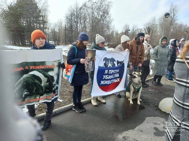 В Казани зоозащитники вышли на пикет