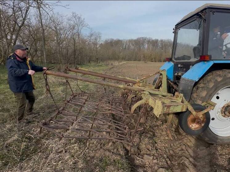 Голопристанский лесхоз готовит почву для посева семян сосны в питомнике