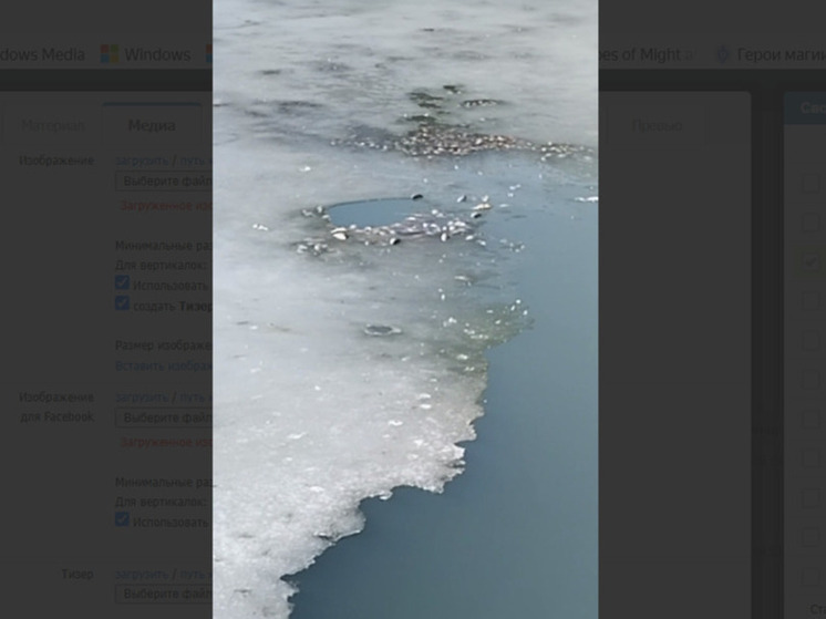 Массовый мор серебряных карасей зафиксирован в Находке: власти проводят проверку