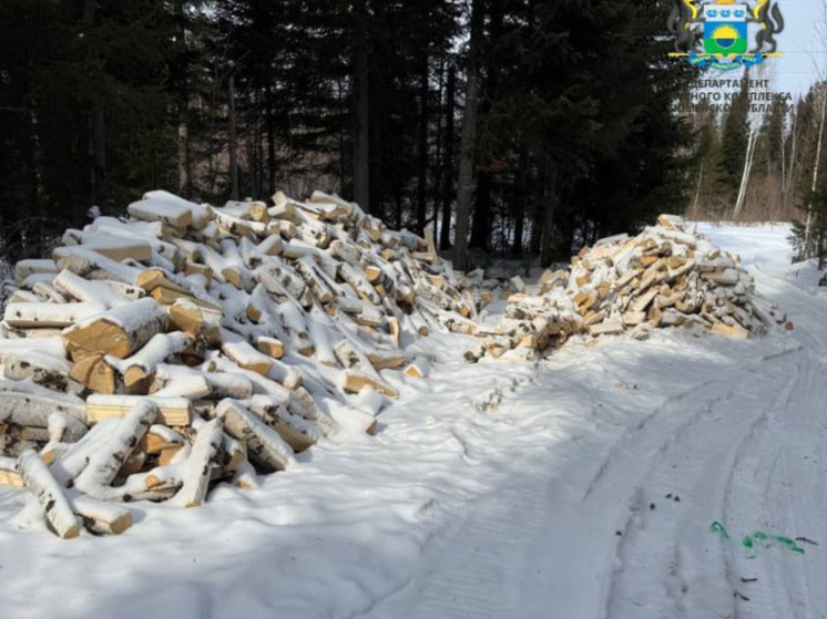 В Вагайском районе была обнаружена крупная незаконная рубка леса