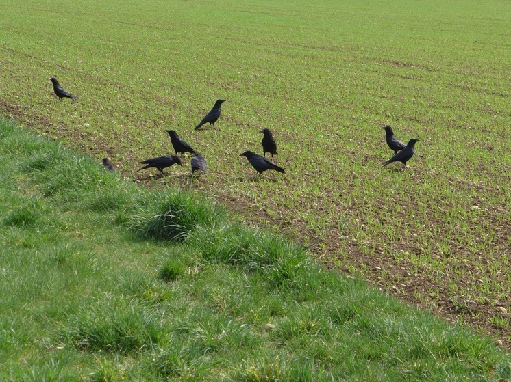 Калужан призывают выбросить старую обувь