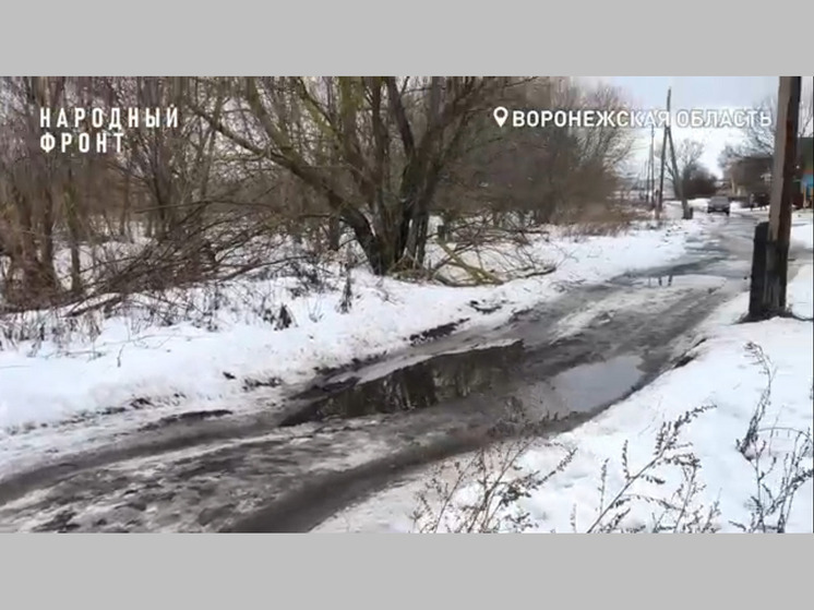 200 семей воронежского Новохоперска живут весной в непролазных лужах