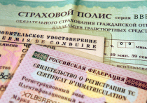 Замруководителя фракции «Новые люди» в Госдуме Сардана Авксентьева предложила разрешить оформлять ОСАГО через Госуслуги