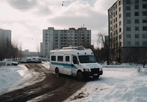 Мэр Томска Дмитрий Махиня напомнил томичам, куда им обращаться, если нужно убрать снег с крыш