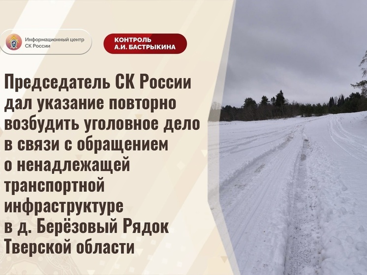 Бастрыкин поручил снова возбудить уголовное дело из-за неуборки снега в Тверской области