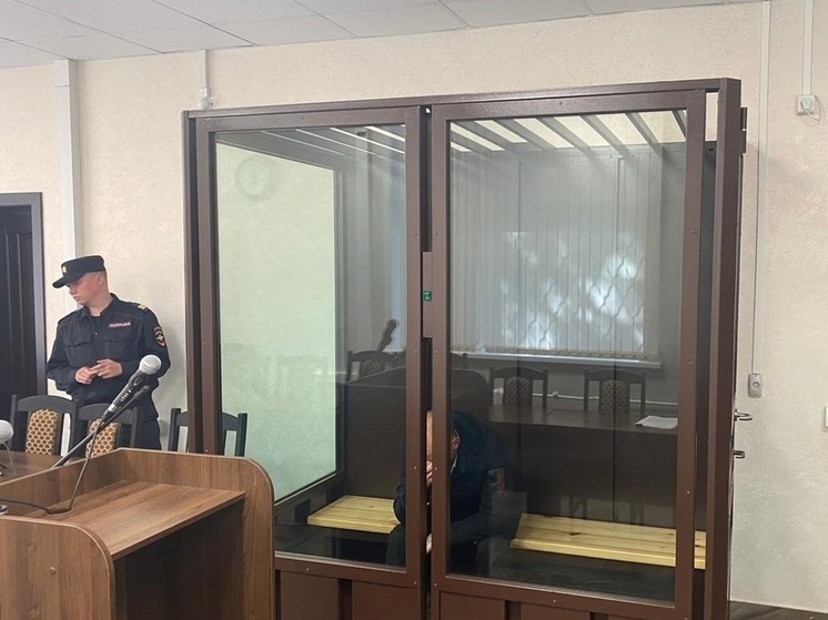 Житель Архангельска получил 10 лет колонии за убийство в пьяной драке