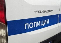 Сотрудники полиции ликвидировали подпольный цех по производству алкогольной продукции в поселке Ульяновка Ленобласти. Об этом сообщила официальный представитель МВД России Ирина Волк.  
