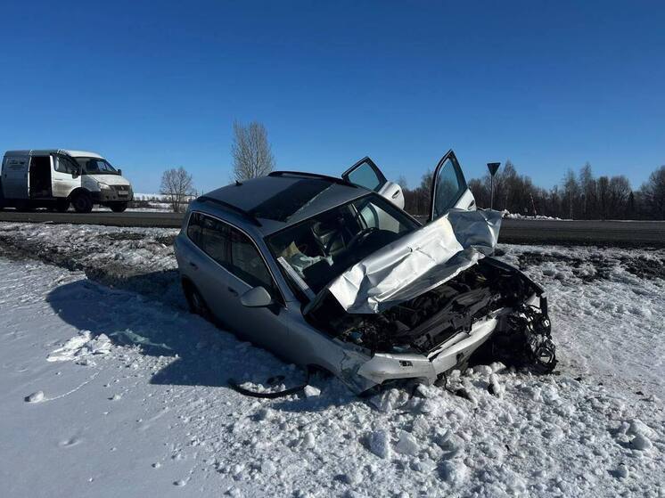 Стали известны подробности массового ДТП с пострадавшими в Алтайском крае