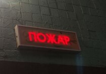 На улице Замшина в доме №70 произошло возгорание в трехкомнатной квартире. Как сообщили в пресс-службе МЧС Петербурга, во время пожара погиб один человек, еще один госпитализирован.