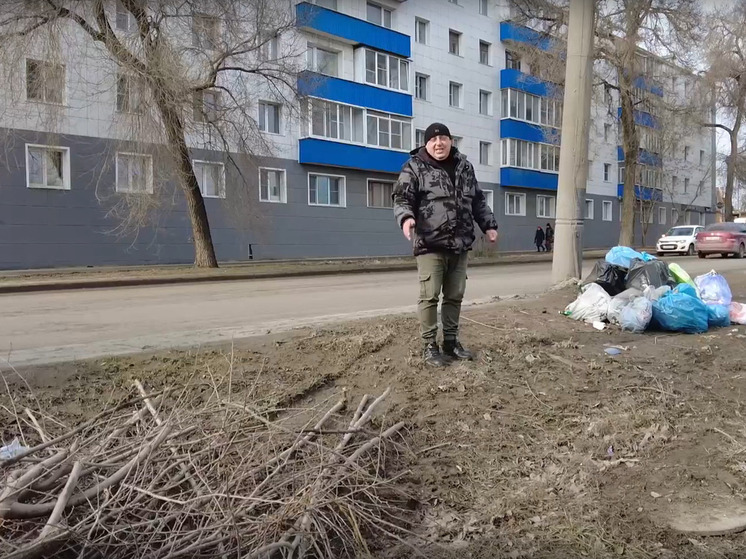 Тамбовчанам напомнили, как правильно распределяться отходы от деревьев