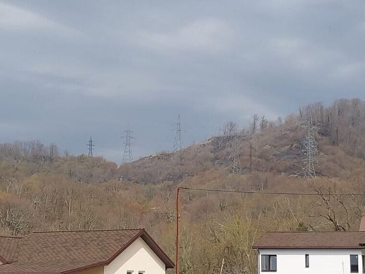 За один день сразу в двух районах Сочи вспыхнул пожар в лесах