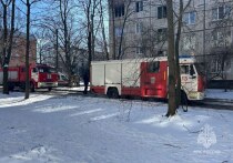 В понедельник, 17 марта, в доме №70 на улице Замшина произошел пожар в пятиэтажке, в результате которого погибла пожилая женщина. Об этом сообщили в пресс-службе МЧС Петербурга.