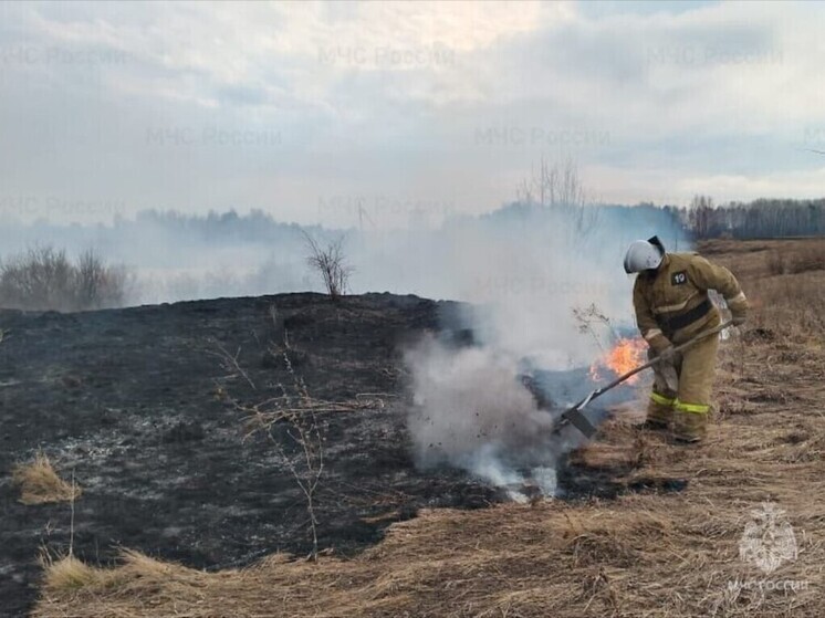 В Орловской области начался пожароопасный сезон