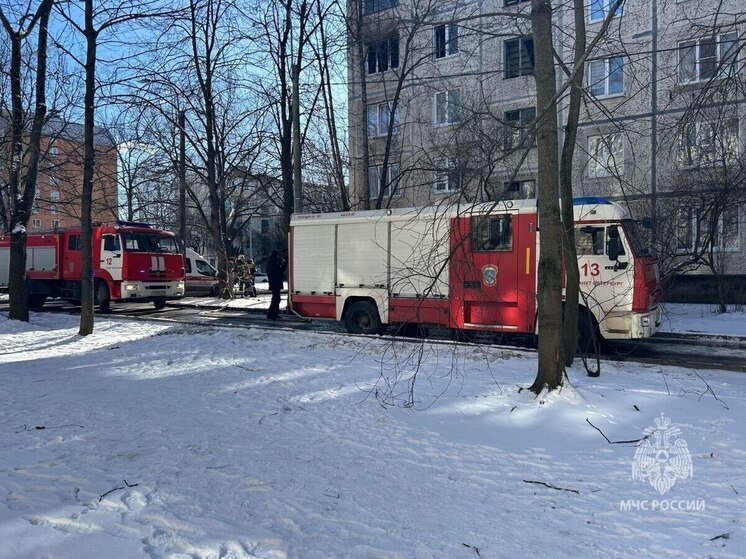 Во время пожара на Замшина погибла пожилая петербурженка