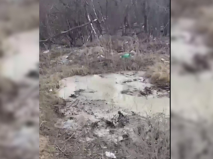 Власти Воронежа заявили в полицию после сообщений о сбросе бетона в лесной зоне