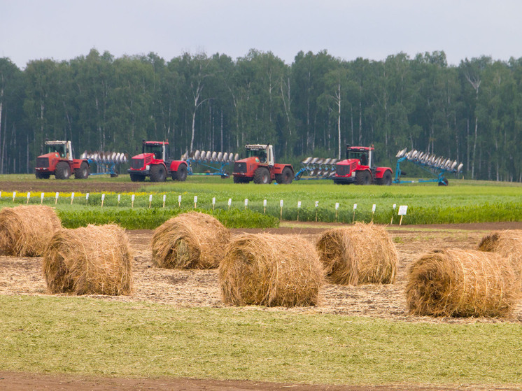 Приметы на день Конана-огородника: что нельзя делать 18 марта 2025 года