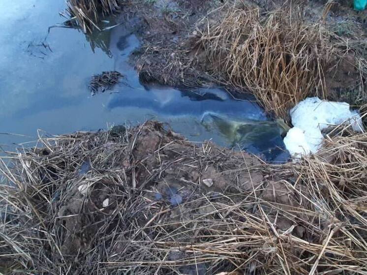 В Калужской области загрязнили Чёрный омут