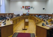 Александр Розбаум встретился сегодня с активистами и руководителями ТОС Великого Новгорода