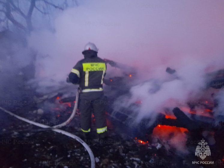 В Должанском районе Орловской области огонь уничтожил хозпостройку