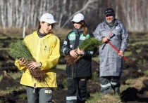 В прошлом году входящая в структуру «Роснефти» компания «Башнефть» инвестировала 9,5 млрд рублей в природоохранные проекты