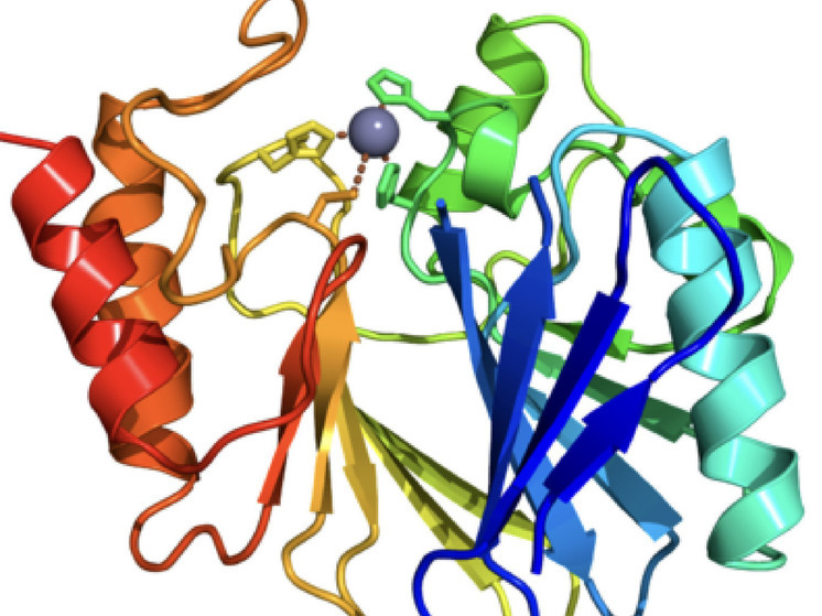 BioRxiv: нейросеть за два дня раскрыла механизм работы супербактерий