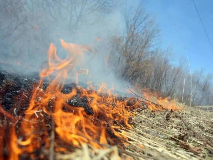 Огонь в Ахвахском районе Дагестана преодолел уже 19 га