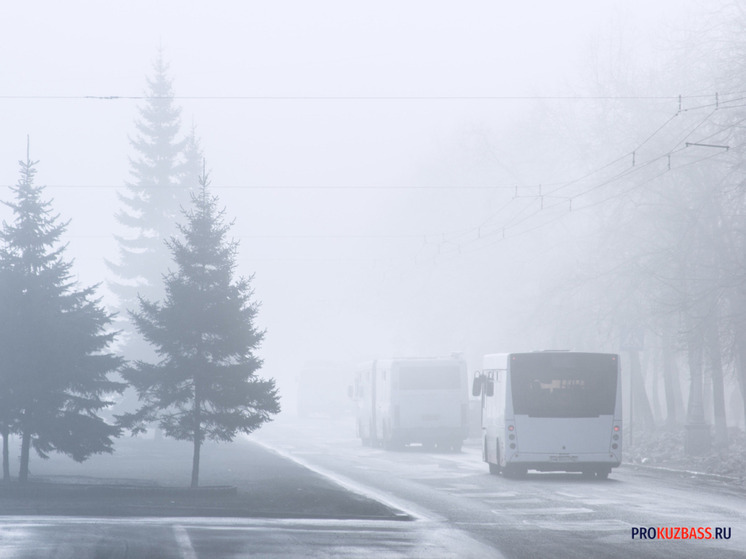 Кемеровчанка пожаловалась на неприятный запах в городе