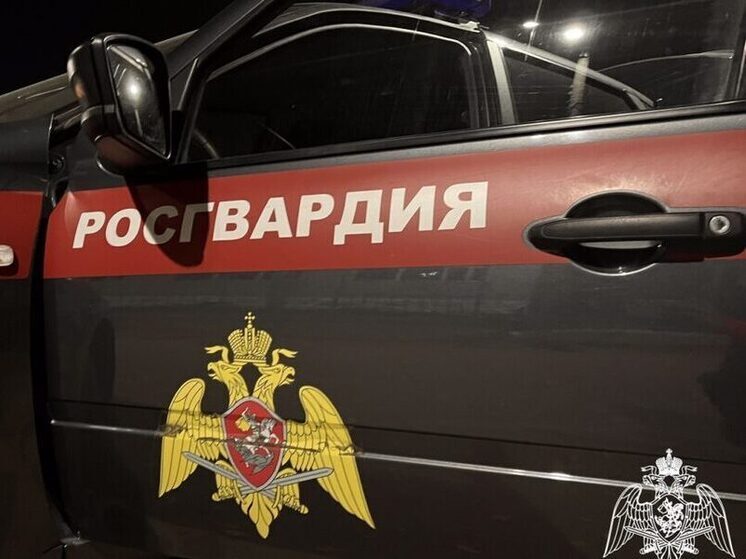 Росгвардия Якутии: Дебоши и правонарушения в развлекательных заведениях