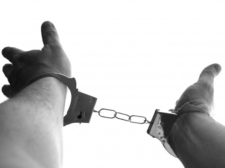 До 3 лет тюрьмы может получить житель Приморья за убийство соседского кота