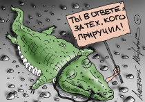 «Собачья» тема в последние дни не сходит со страниц газет, лент информационных агентств, телеграм-каналов и прочих медиа