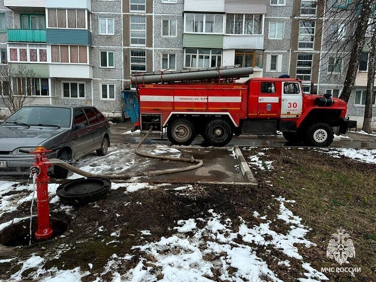 Под Тулой огнеборцы потушили пожар в бытовке