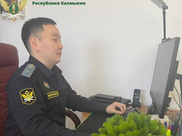 Житель Калмыкии оплатил штраф после ареста счетов