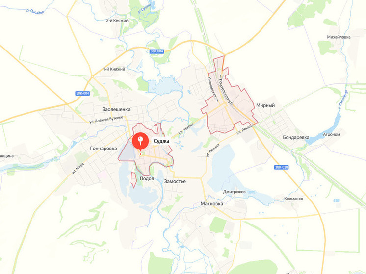 Мирошник рассказал о жестокости наемников ВСУ в Курской области