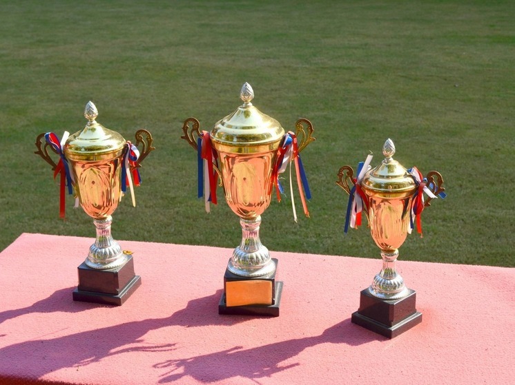 Спортсмены из Обнинска привезли медали с чемпионата России по кудо