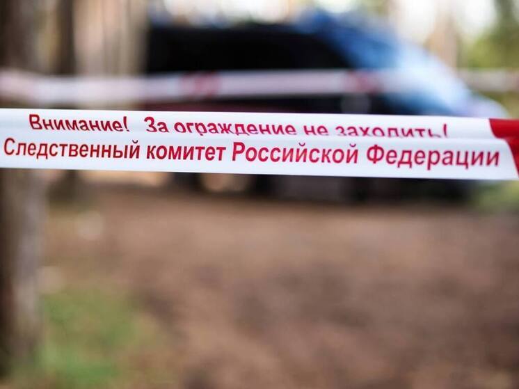 В Краснодоне ЛНР приятель убил владельца шиномонтажа