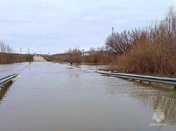 Еще один низководоный мост подтопило в Самарской области утром 18 марта