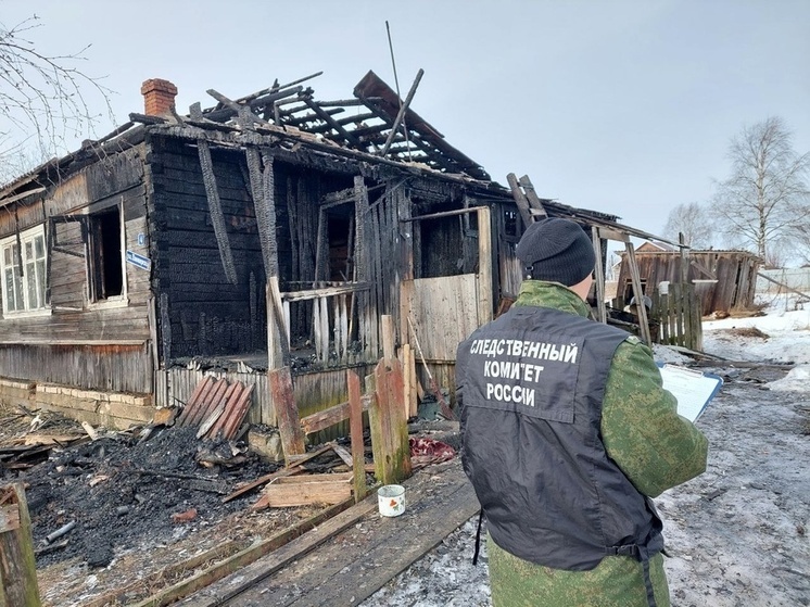 Уголовное дело по факту гибели мужчины на пожаре возбуждено в Бабушкинском округе