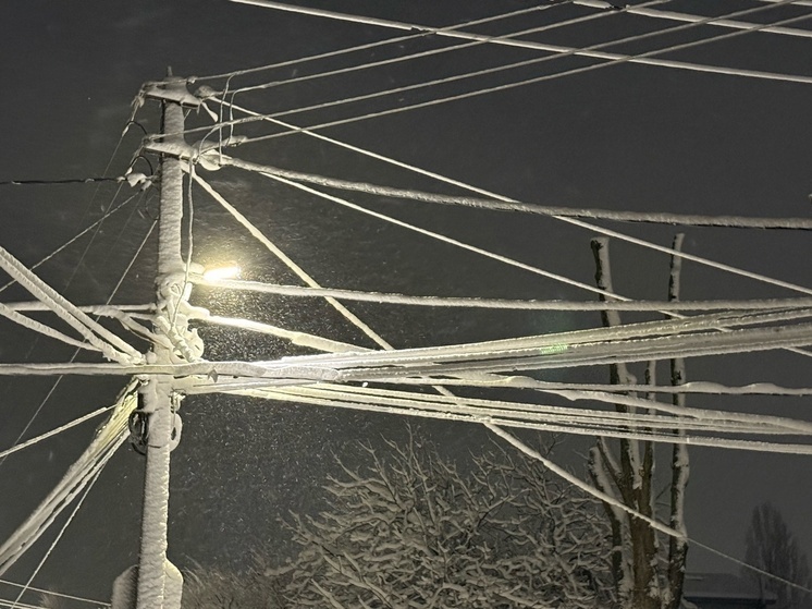 В Ростовской области ожидается мокрый снег в ближайшие дни