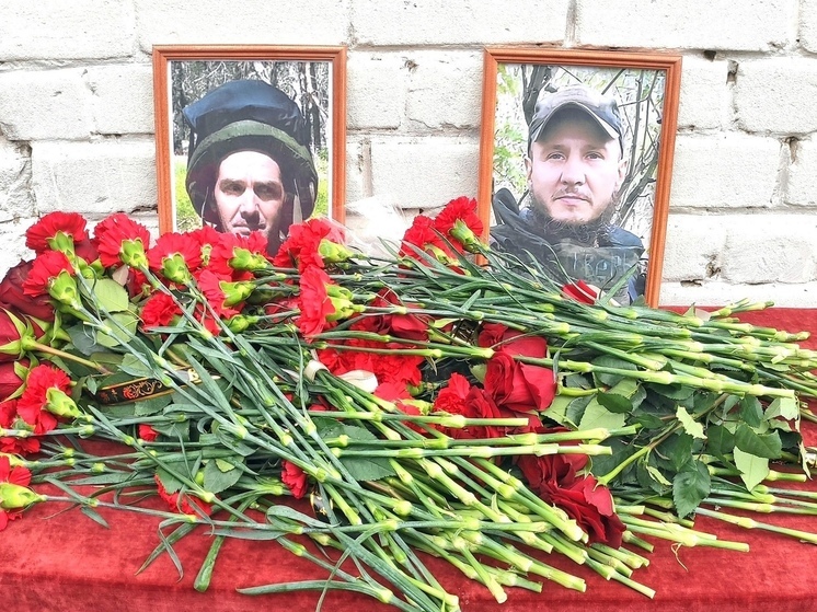 В Тверской области на школе появились мемориальные доски с выпускниками, погибшими на СВО
