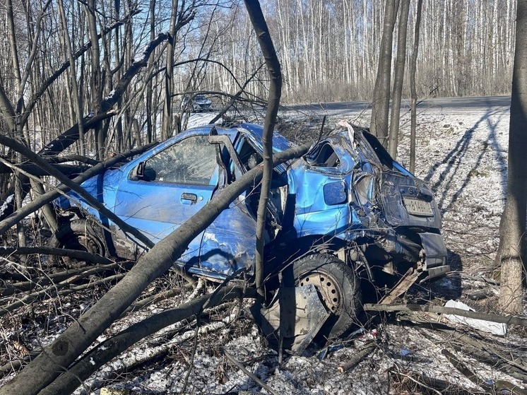 Два человека пострадали в ДТП с Suzuki и Kia на трассе М-5 в Шиловском районе