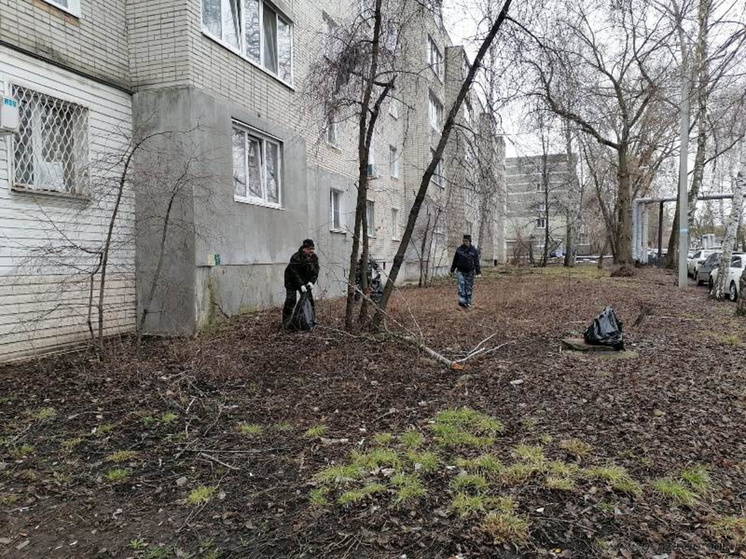 Во дворе дома на улице Пушанина, 16 в Пензе навели порядок после замечания главы города