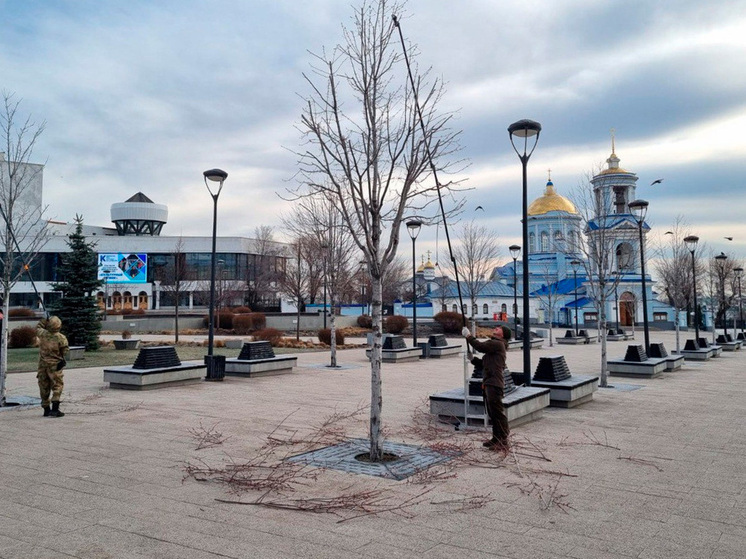 В Воронеже завершается сезон омолаживающей и формовочной обрезки деревьев