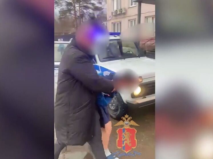 В Красноярском крае полиция поймала одного из напавших на пенсионерку и ее сына