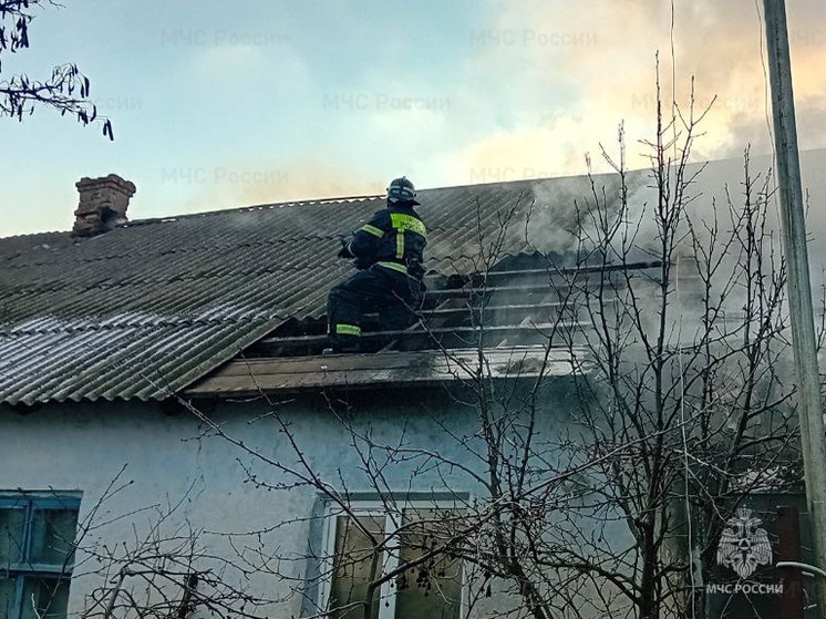 В Чаплинском округе 18 марта случился пожар