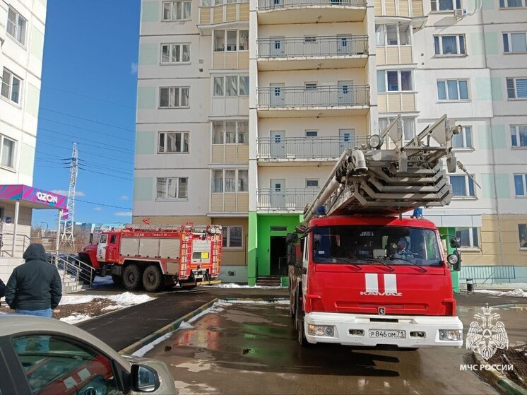 Спасатели МЧС потушили пожар в 17-этажке на Хворостухина в Туле